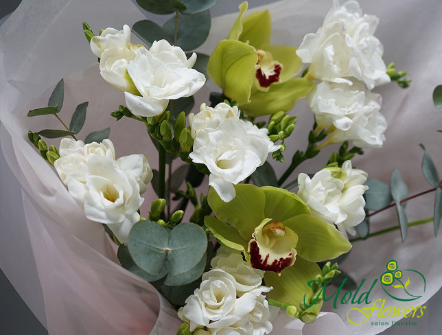 Bouquet with white freesia and orchid photo